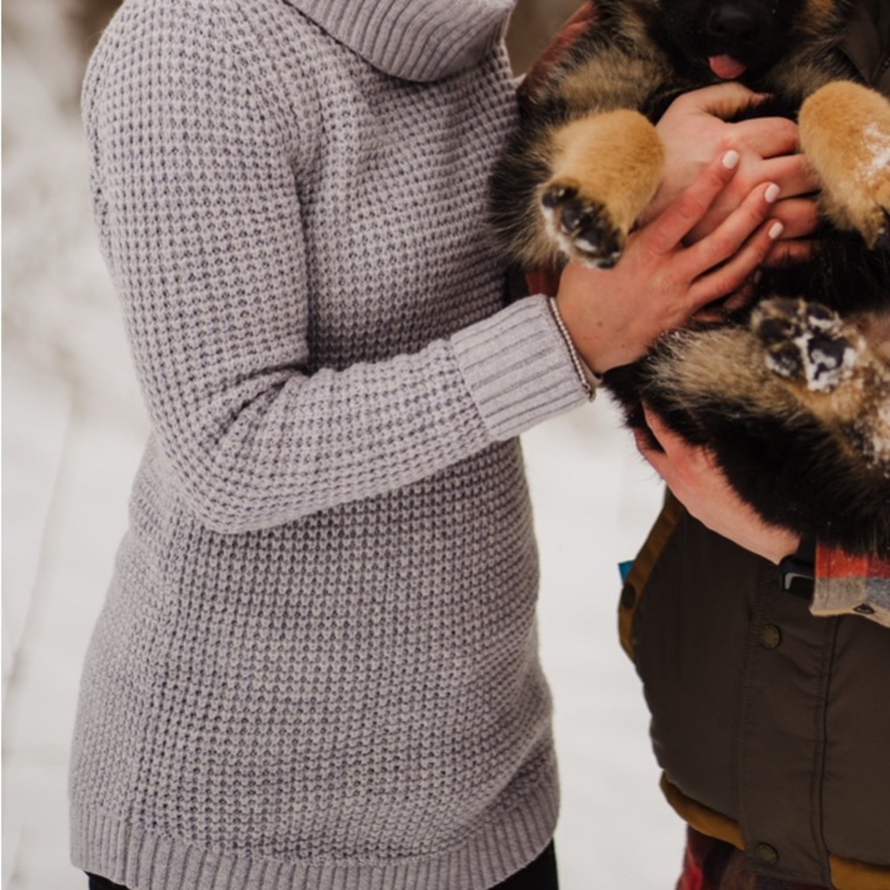 L.L. Bean Knit Sweater